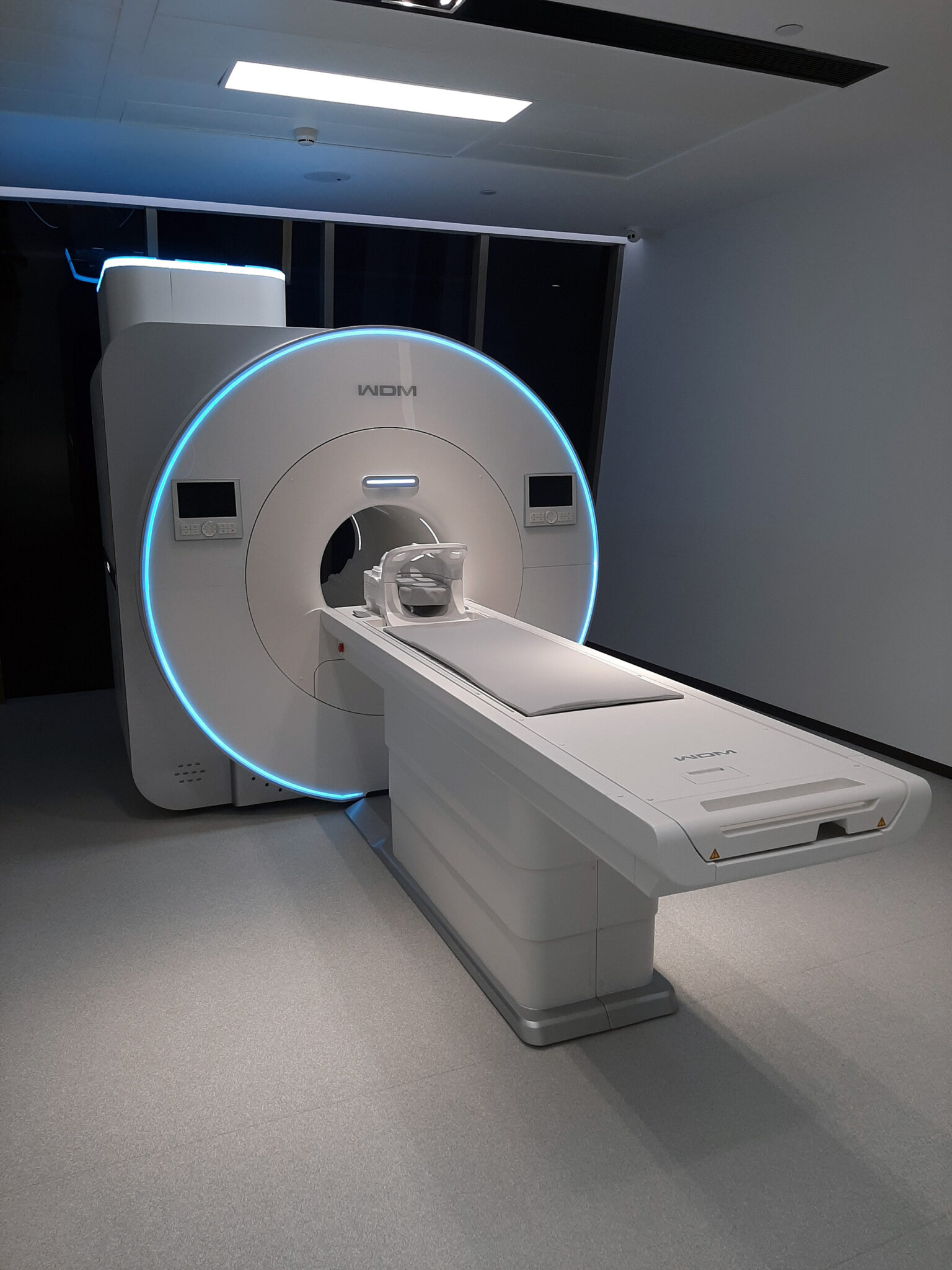 Advanced MRI analysis interface screenshot